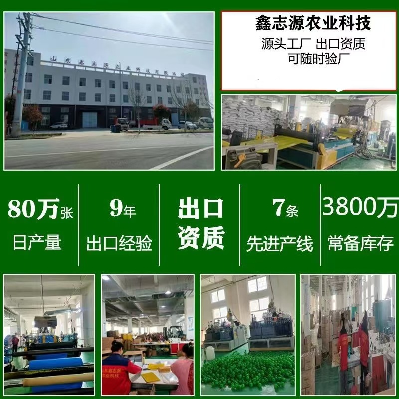 Sticky insect board trap board double-sided yellow board blue board manufacturers wholesale stained insect fruit fly ball fly ball citrus