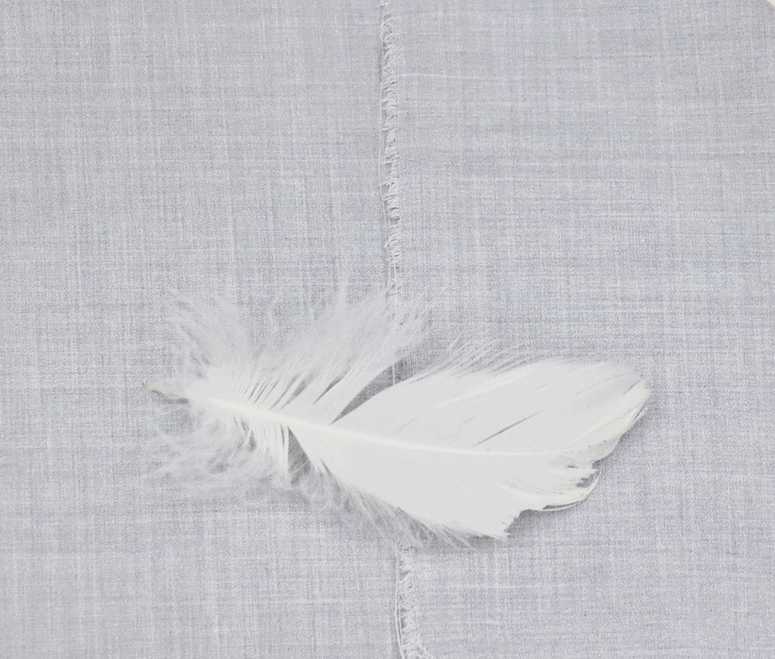 2025 New Spring and Summer Shirt Fabric 220g Dress Fabric Tr Beiji Fashion Stretch Fabric Manufacturer Wholesale