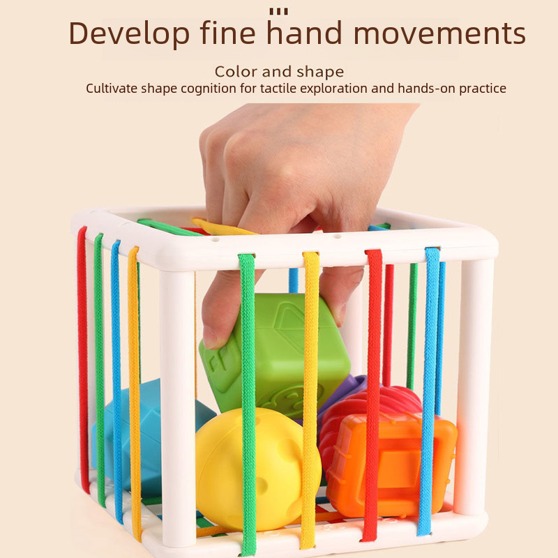 Cross-border Rainbow Sesele Shape Color Cognition Baby Early Education Grasping Sensory Toys Sesele Foreign Trade Wholesale