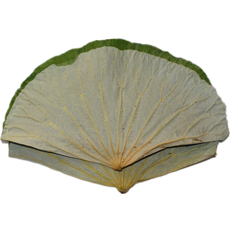 Small Whole Lotus Leaf Weishan Lake Selects High-Quality Whole Dried Lotus Leaves to Make Lotus Leaf Rice, Beggar's Chicken and Glutinous Rice Chicken. Free Shipping