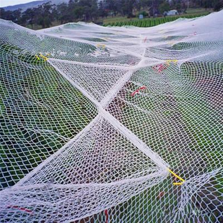 Бренд Yihao Mei, международная поставка двойной плетеной полиэтиленовой сетки, закрученная противоградовая сетка