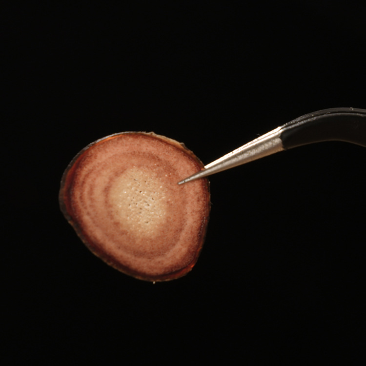 Northeast Specialty from Jilin: Whole Slices of Deer Antler for Soaking in Wine or Making Soup, Male Tonic, Originally from the Northeast