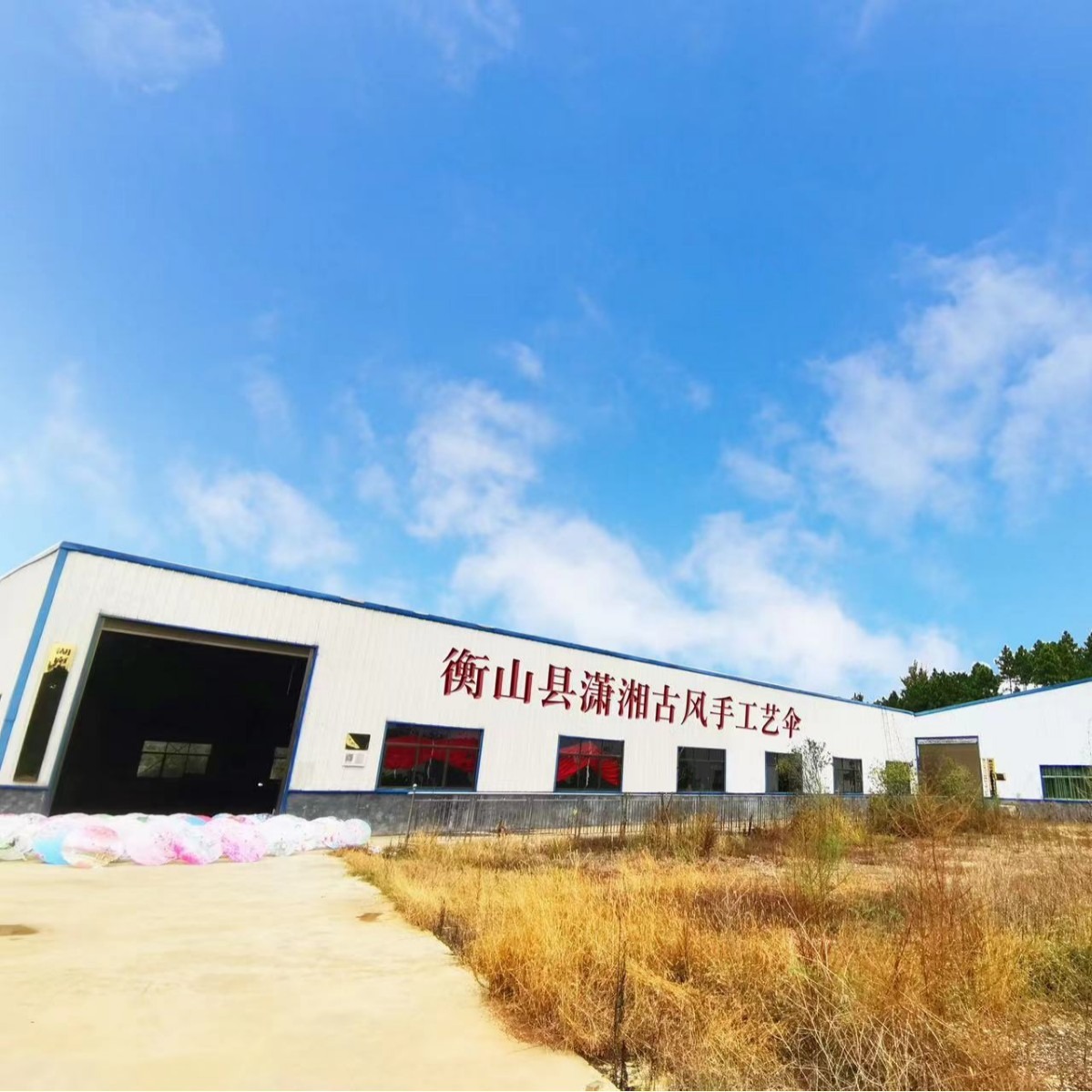 Customized Oil-Paper Umbrella Craft Umbrella Props Ancient Style Han Dynasty Printed Umbrella Petal Umbrella Ceiling Decoration Performance Silk Umbrella