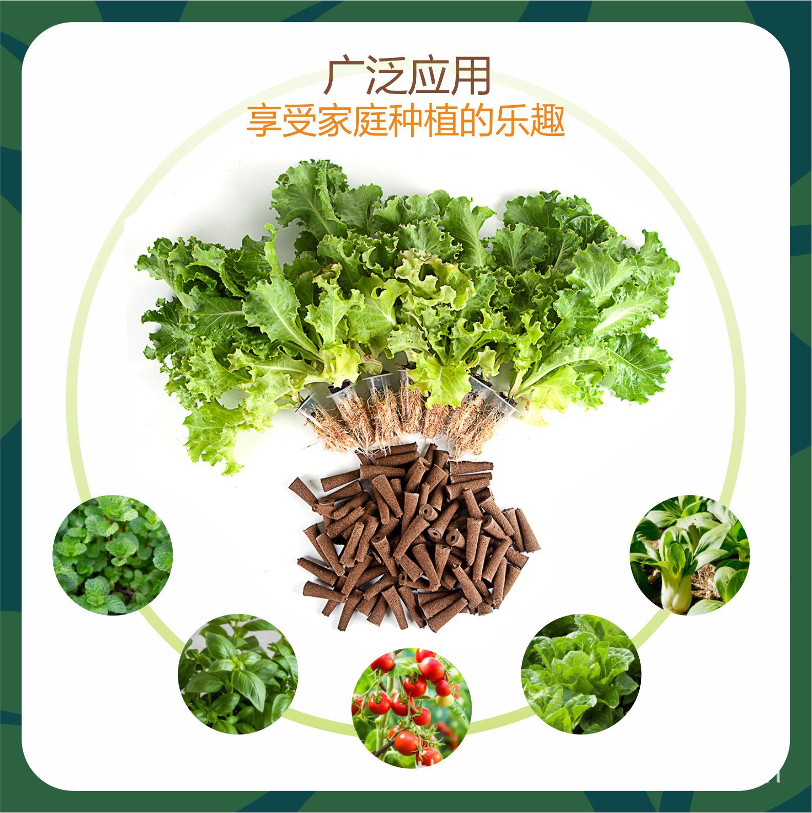 Organic Peat Seedling Block Nutrient Soil Block Growth Sponge Biological Carbon Cotton Substrate Block Hydroponics Planting Soilless Culture