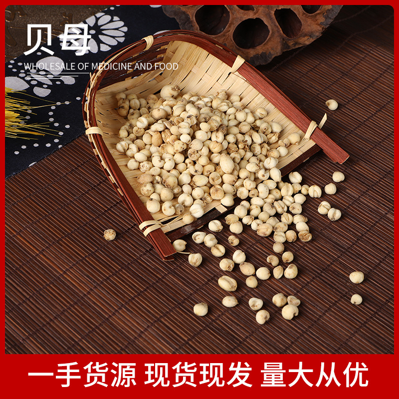 Оптовая фритиллярия Сычуань, мелкая фритиллярия, сосновая жемчужина