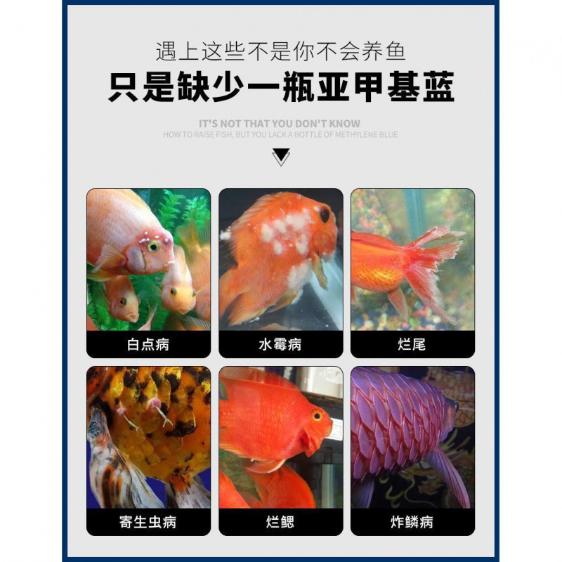 Methylene Blue Solution for Goldfish and Koi Fish, Fish Medicine, Universal Disinfectant for Rotten Tail, Rotten Flesh, Rotten Body, and White Spots