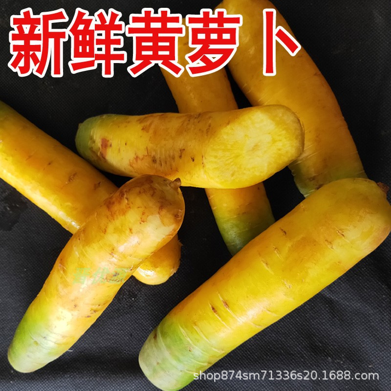 Свежая желтая редька из Юньчэн, Шаньси, оригинальное происхождение, вкус Синьцзяна, фермер 50кг, бесплатная доставка