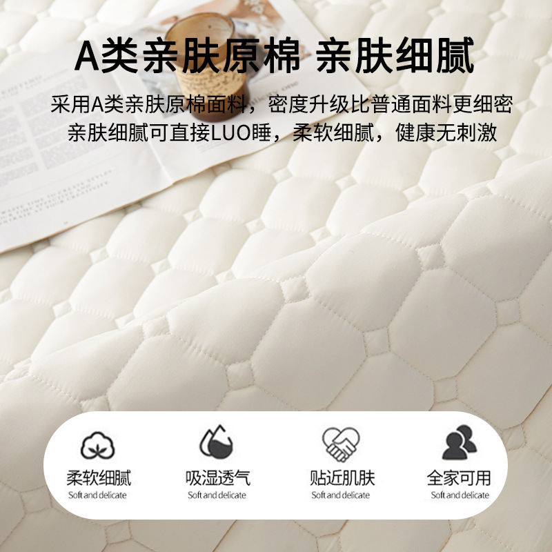 Soybean Waterproof Urine Cotton Mattress Home Bedroom Dormitory Cushion Bed Pad Mattress Protection Mat Anti-slip Mat