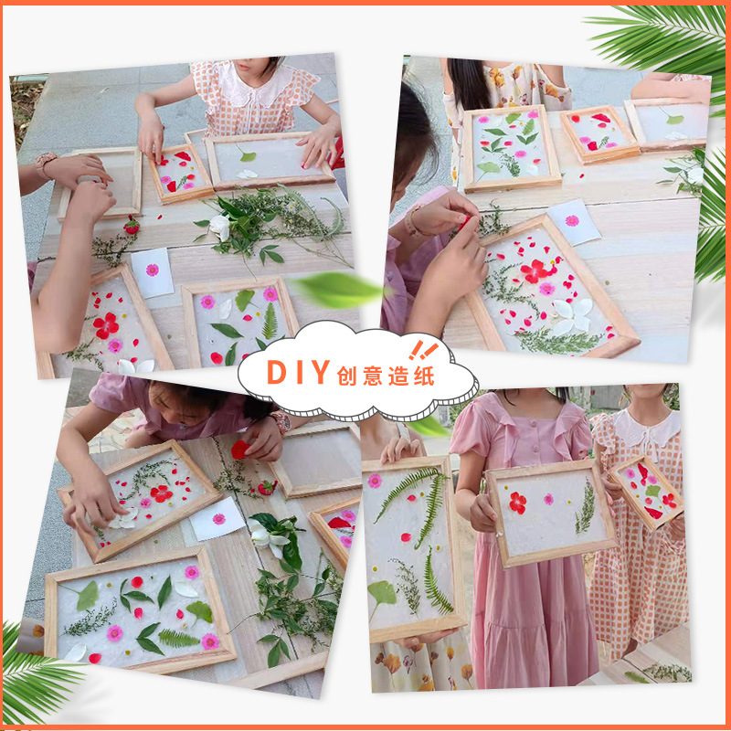 Paper Pulp Traditional Papermaking Virgin Wood Pulp Long-Staple Fiber Handmade Flowers and Plants Children's DIY Materials Biodegradable