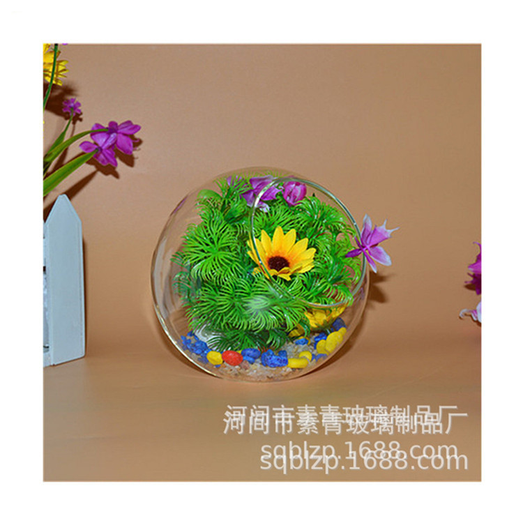 High borosilicate glass oblique vase micro landscape creative DI gamma fleshy hydroponic large and medium desktop ornaments vase