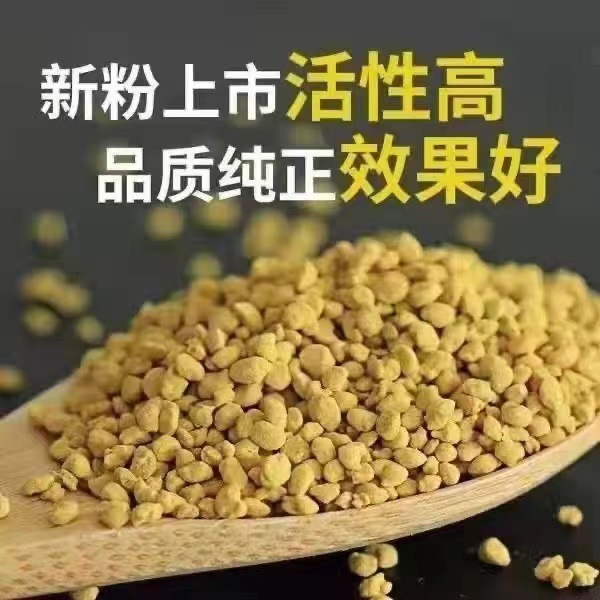 Fresh Qinghai Rape Pollen Natural Edible Bee Pollen Male Top 500g Unbroken Wall Authentic Natural Bee Feeding