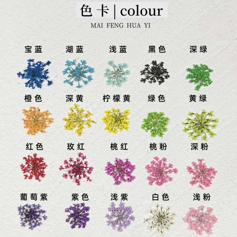 Цветок из снежных бусин/кружевной цветок для ногтей, засушенный цветок, тисненный фоторамка, материал для DIY, оптовая продажа, маленький размер, 2000 цветов, бесплатная доставка