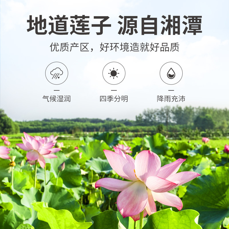 Fang Jiapu Factory Peel Lotus Seed Tongxin Lotus Seed Stew White Lotus Seed Wholesale 250g Bags Wholesale