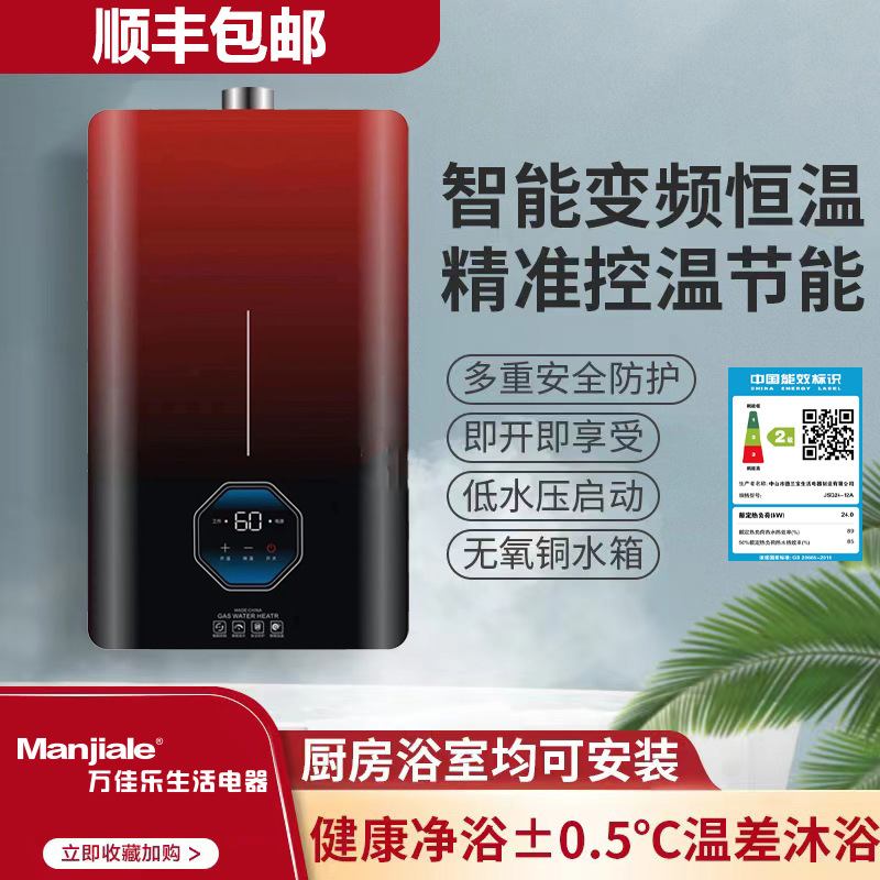 Wanjiile Life Gas Natural Gas Liquefied Petroleum Gas Gas Water Heater Plug-In Forced Exhaust Constant Temperature 12 Liters