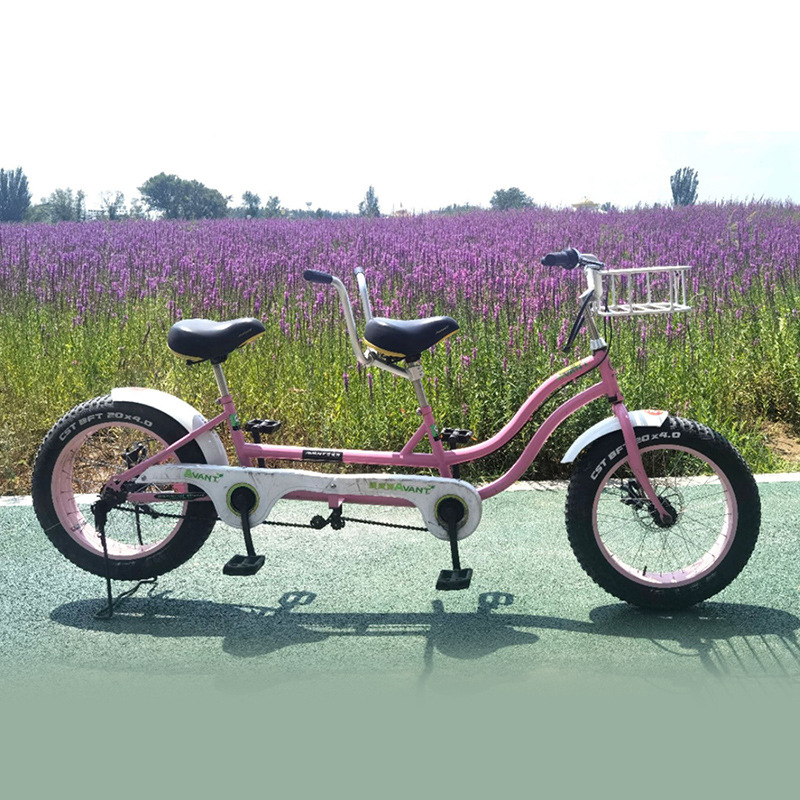 Aowit Brand Beach Couple Bikes, Family Fitness Bikes, Two-Person Bicycles, Snow Bikes, Fat Tire Outdoor Off-Road Bikes