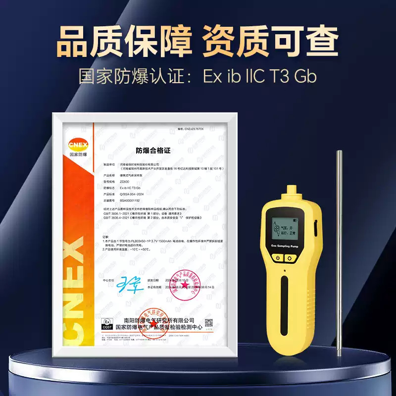 Portable gas sampling pump gas extraction pump sampler gas detector with digital display charging external pump