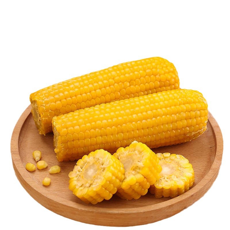 Northeastern Cornmeal, Good Quality, New Glutinous Corn Cobs, Sweet Glutinous Corn, Vacuum Packaging, Direct from Manufacturer, Not Ready to Eat