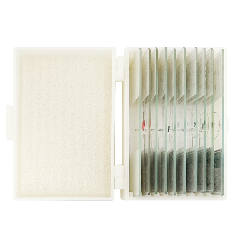 Microscope biological section specimen plastic box 10 pieces of new primary and secondary school biology teaching materials