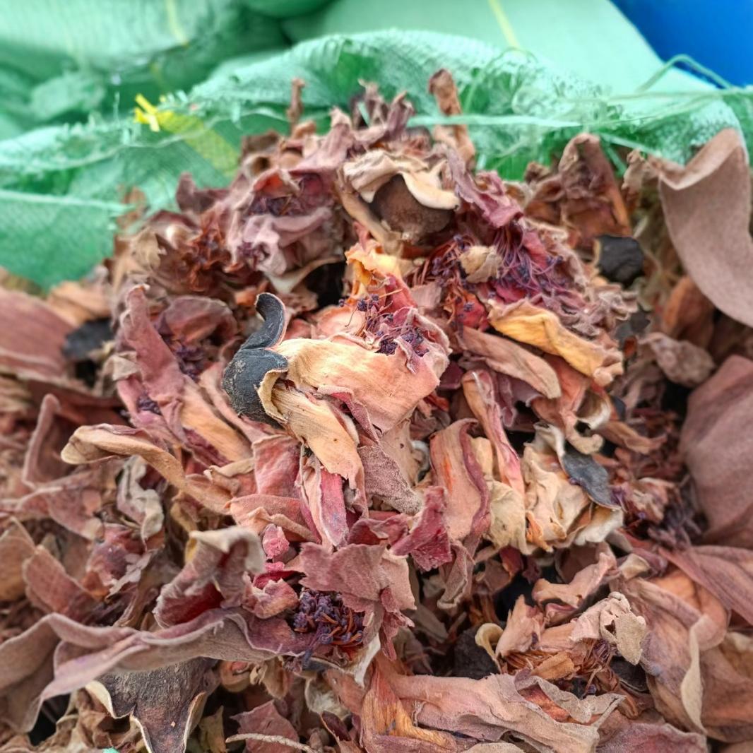 Сушеные цветы капока Паньчжихуа Новинка