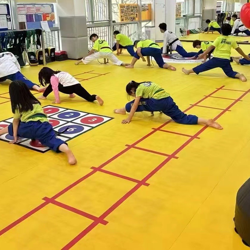 Xpe Taekwondo Wrestling Floor Mat Training Competition Sanda Martial Arts Wrestling Mat Wear-Resistant Sports Venue Soft Mat