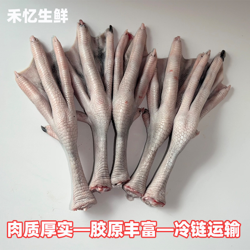 [No Free Shipping Via Sf Express] Fresh Black-Brown Goose Feet, Farm-Raised Free-Range Goose Claws, Braised Goose Feet, Raw Goose Feet Ingredients