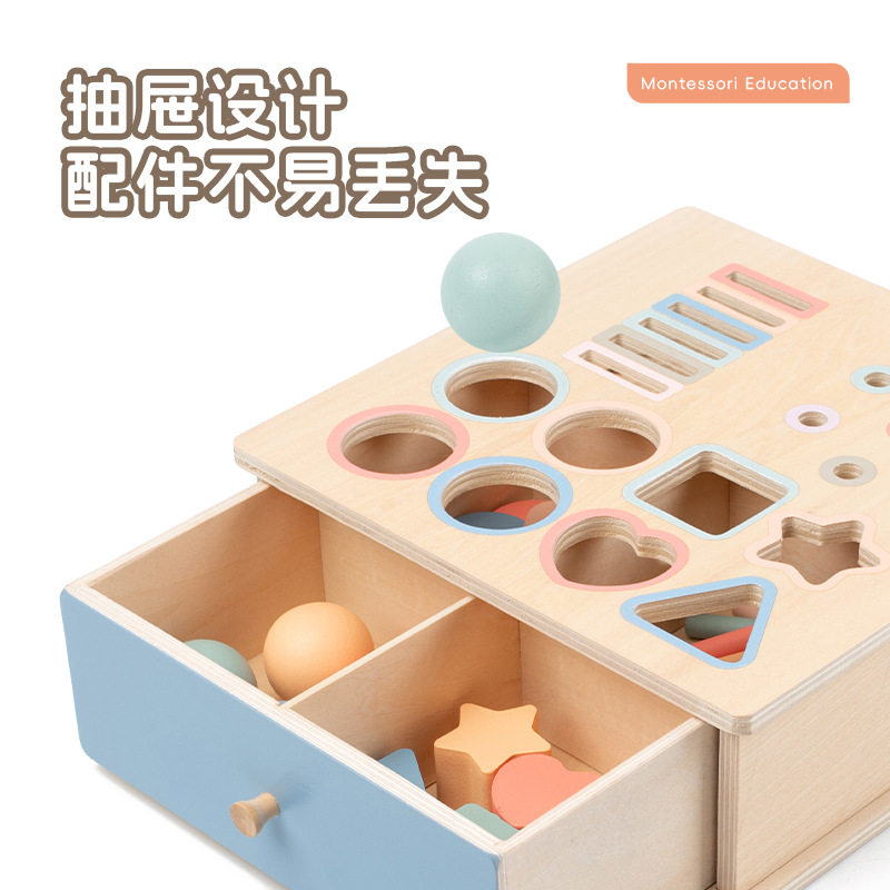 Montessori Classification Early Education Coin-Throwing Ball Classification Box Color Cognitive Shape Building Blocks Matching Teaching Aids Educational Toys