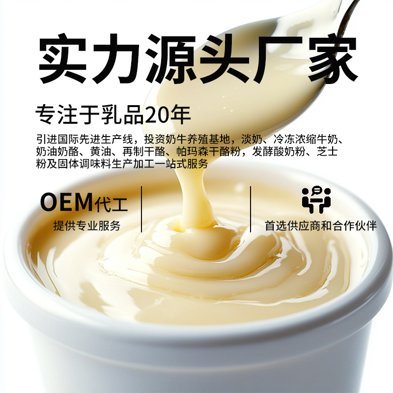 Parmesan Cheese Powder Cheese Grated Cheese Block Commercial Pasta Pizza Special Fried Chicken Ingredients Baking Home