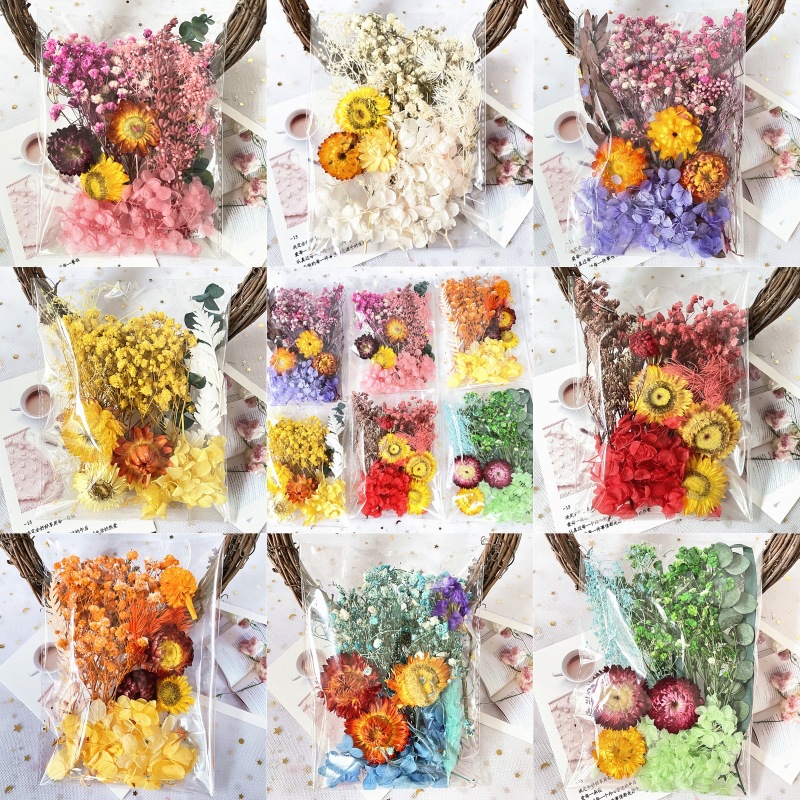 Dried Flower Material Bag Pack Immortal Dried Flower Material Painting Fan Greeting Card Handmade Dried Flower Small bouquet Natural True Flower Drops of Glue
