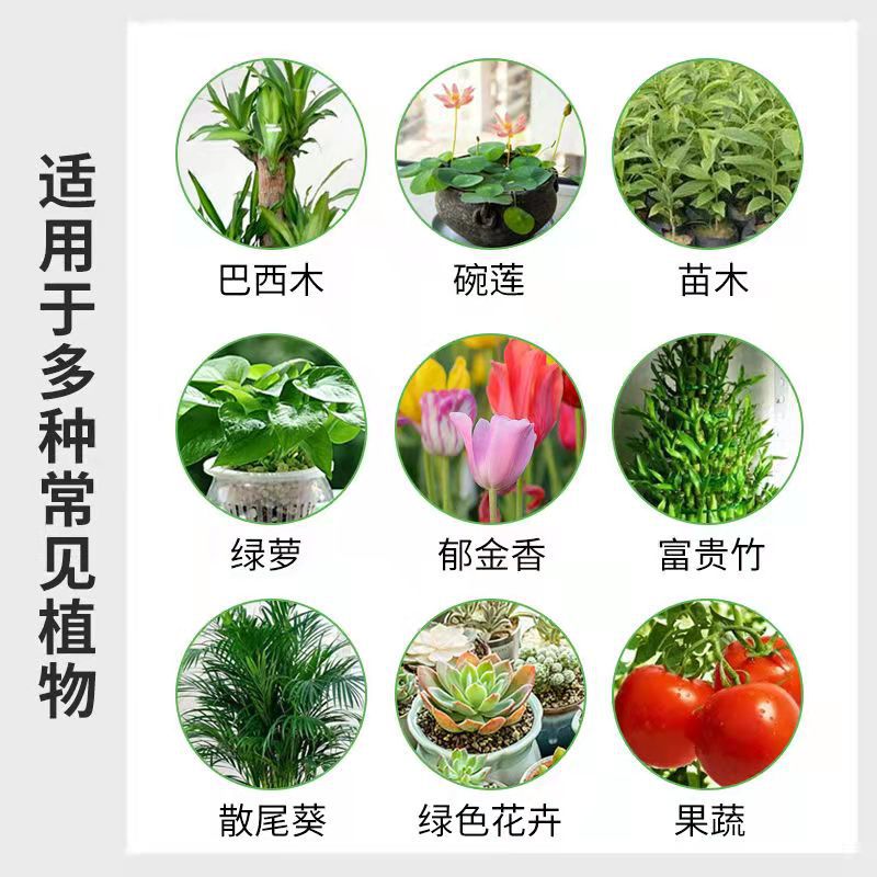 Manufacturer of Plant Nutrient Solution, Universal Concentrated Liquid Fertilizer, Flower Fertilizer, Hydroponic Flower Bottled Green Plant Pothos Fertilizer