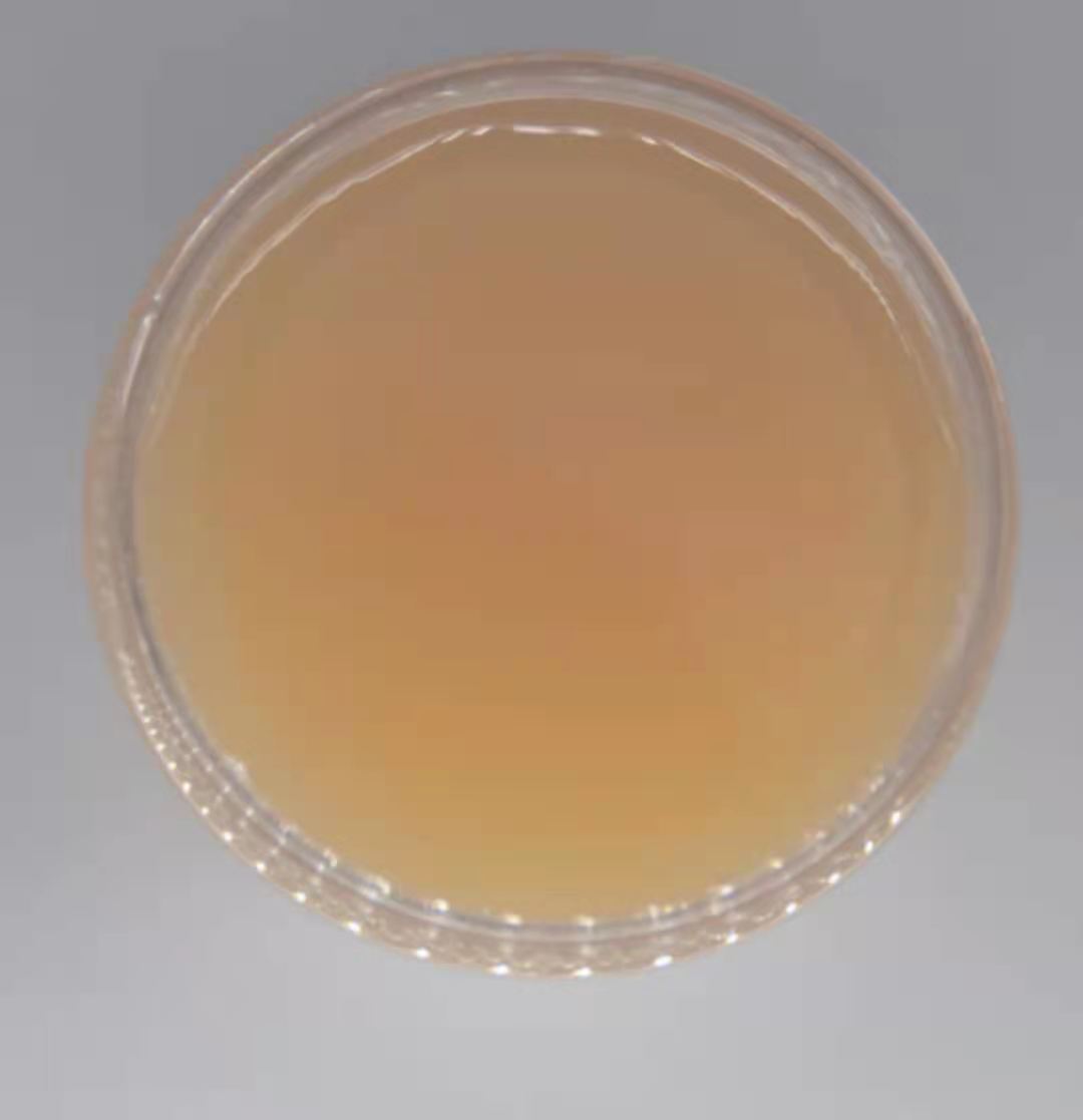 Leather hand-feeling additives microcrystalline wax emulsion finishing agent/polishing agent/water-based ink water-based paint/textile additives