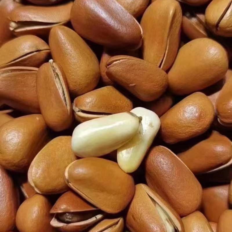 Dropshipping Open-Ended Pine Nuts Northeast Pine Nuts 2025 New Hand-Peeled Large Kernels 500g Casual Snack Nuts
