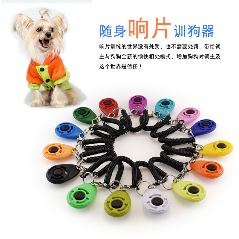 Cross-border explosions dog training supplies pet training ring piece portable training device factory direct wholesale pet ring piece