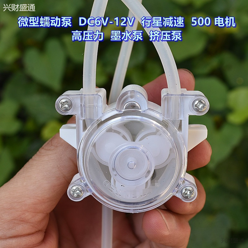 Micro Peristaltic Pump Dc6V-12V Planetary Reduction 500 Motor High Pressure Ink Pump Extrusion Pump