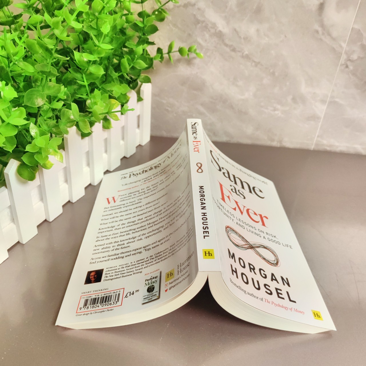 as Ever Timeless Lessons on Risk Morgan Haoze in English Version