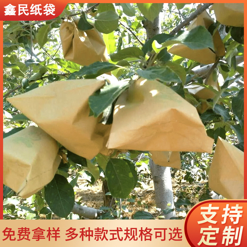 Специальный мешок для упаковки груш, золотая груша, груша осеннего месяца, мешок для фруктов против насекомых, водонепроницаемый и солнцезащитный бумажный мешок для груш