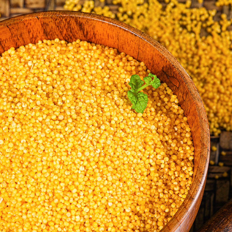 Yellow Millet 500g Vacuum Packed Whole Grains Millet Porridge Coarse Grains 0.5kg Wholesale Manufacturers Oem Processing and Customization