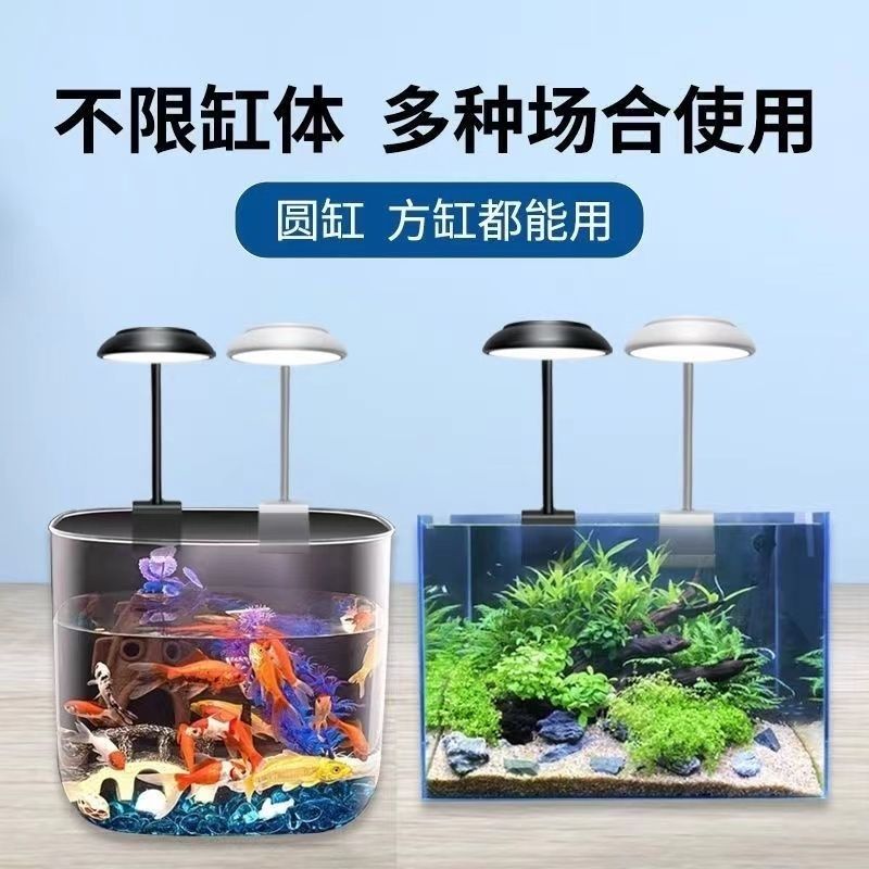 USB Fish Tank Light Led Aquatic Plant Light Algae Explosion Waterproof Light Small Fish Tank Lighting Ornamental Mini Clip Light