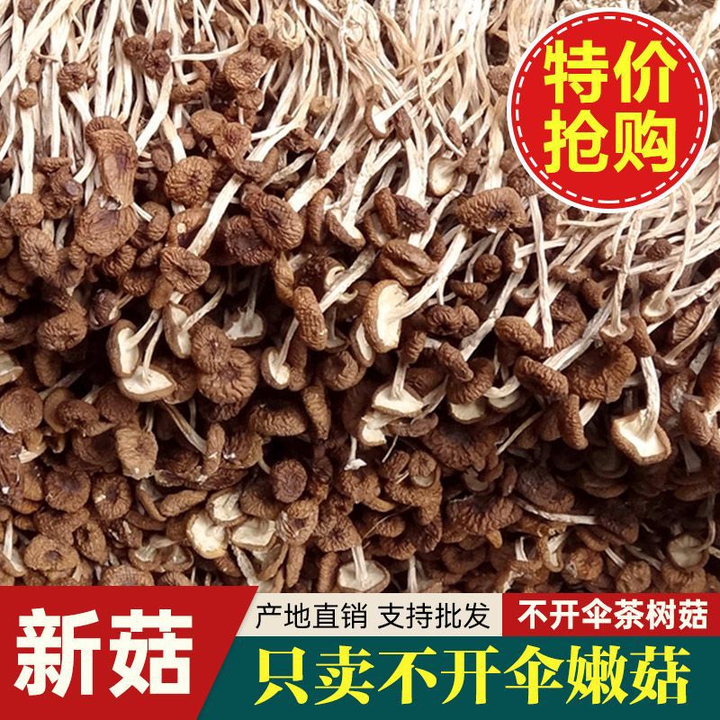 [Без осушителей] Сушеные грибы чайного дерева оптом 500г Гутянь сушеные грибы чайного дерева для овощного супа 20г