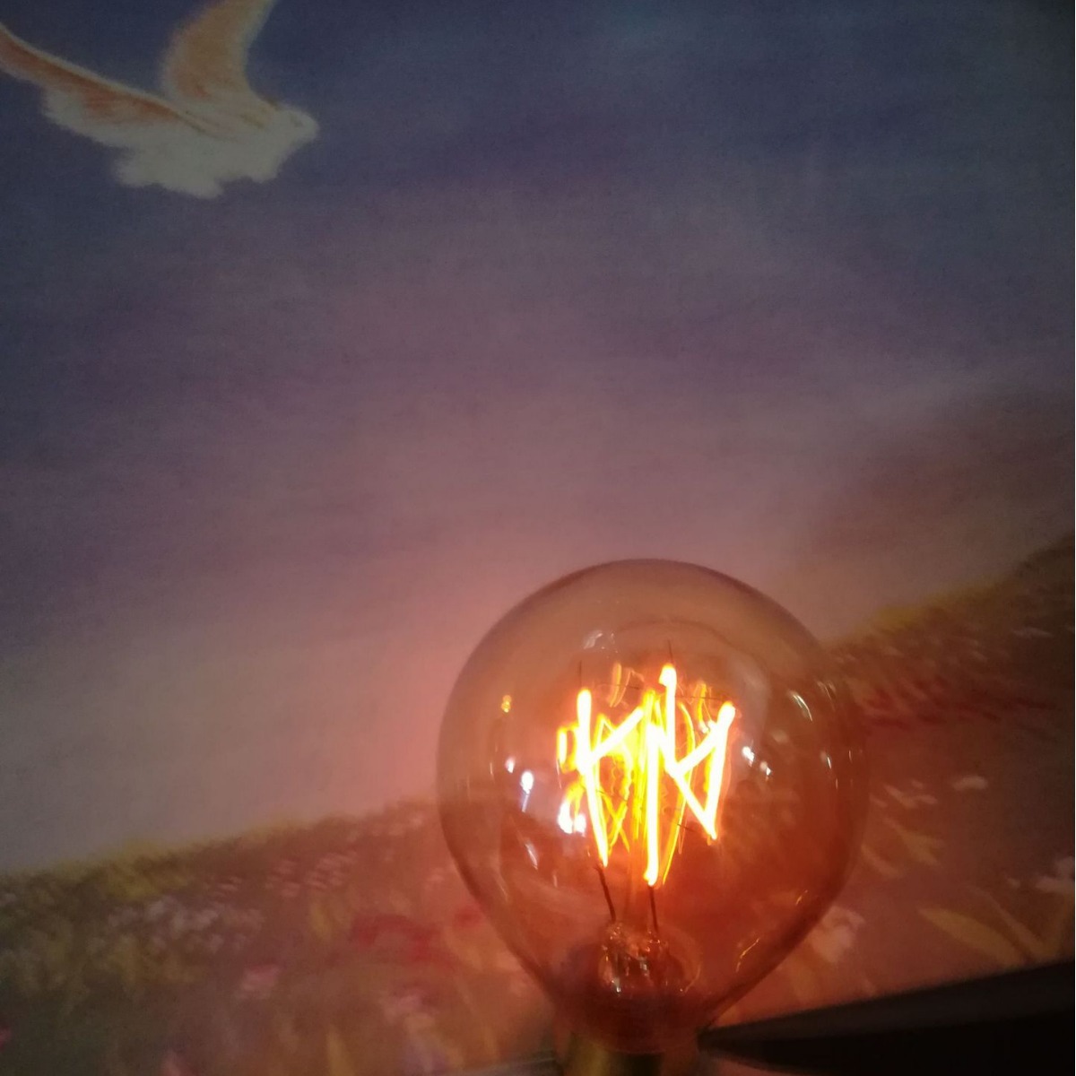 FActory Direct Edison VintAge CArbon FilAment LAmp A19 Four Ring