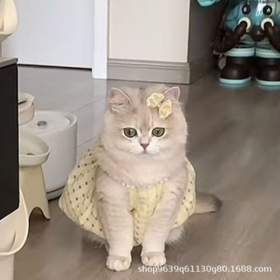 Cat Summer Clothes, Small Skirt, Anti-Shedding, Cute Ins Gold Gradient Ragdoll Cat British Short Summer Suspender Skirt