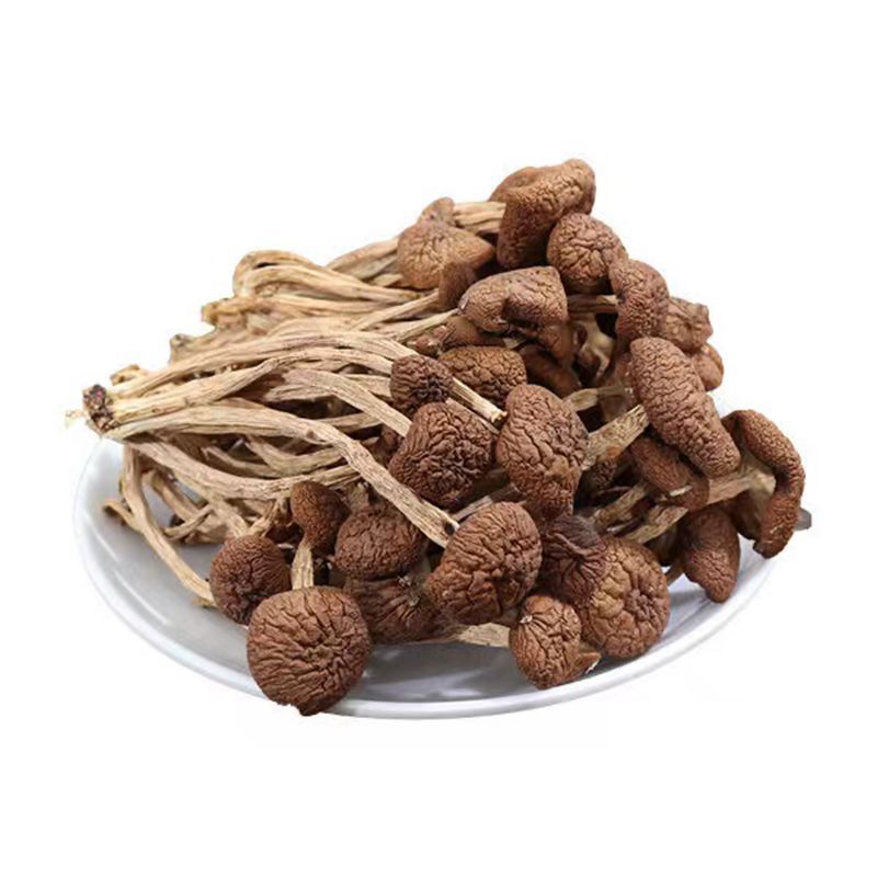 [Stain Straight Hair] Gutian Unopened Tea Tree Mushroom Dried Goods Bulk Wholesale Tea Tree Mushroom 500g Direct Sales from Origin