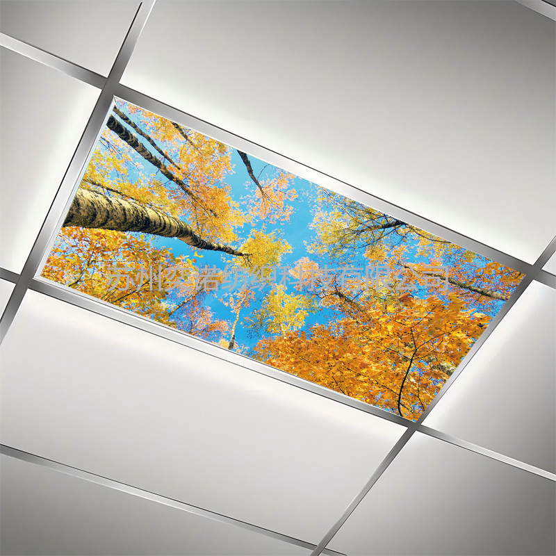 Amazon Spot Big Tree Print Fluorescent Magnetic Lampshade Flame Retardant Shading Cloth Eye Protection Office Classroom Lampshade