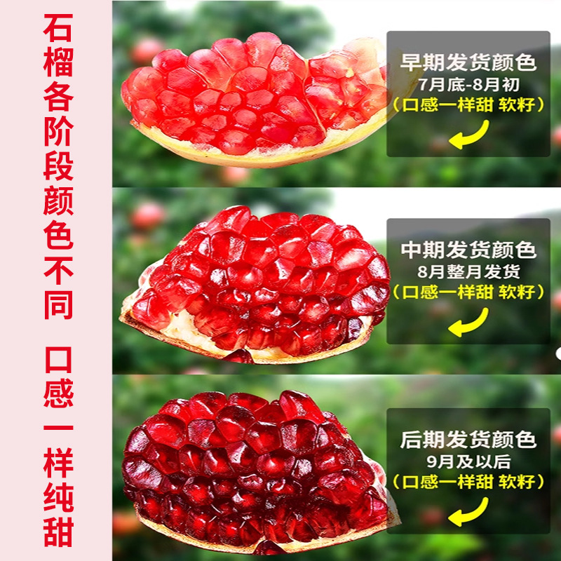 Tunisian Soft-Seed Pomegranates 5kg Fresh Fruit Seasonal Sichuan Huili Ruby Seedless Pomegranates Large Fruit Whole Box