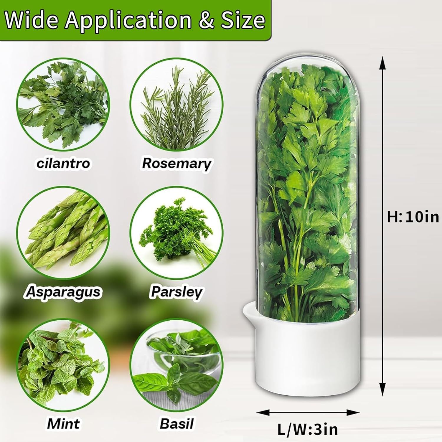 Cross-border new vanilla fresh-keeping cup vegetable storage second-generation large-capacity