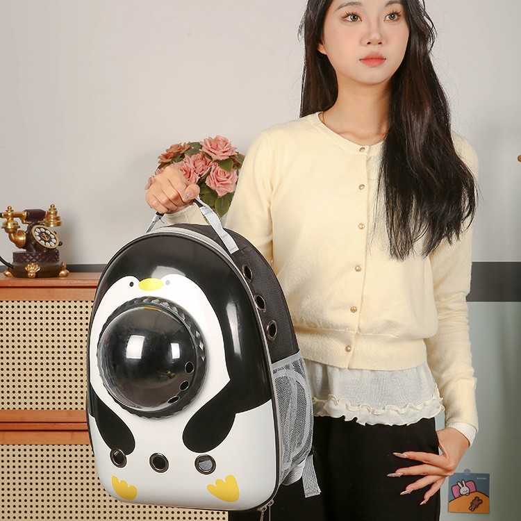 Portable Space Bag Transparent Cat Bag Outgoing Backpack Space Capsule Pet Large Capacity Cat Backpack Cat Outgoing Bag