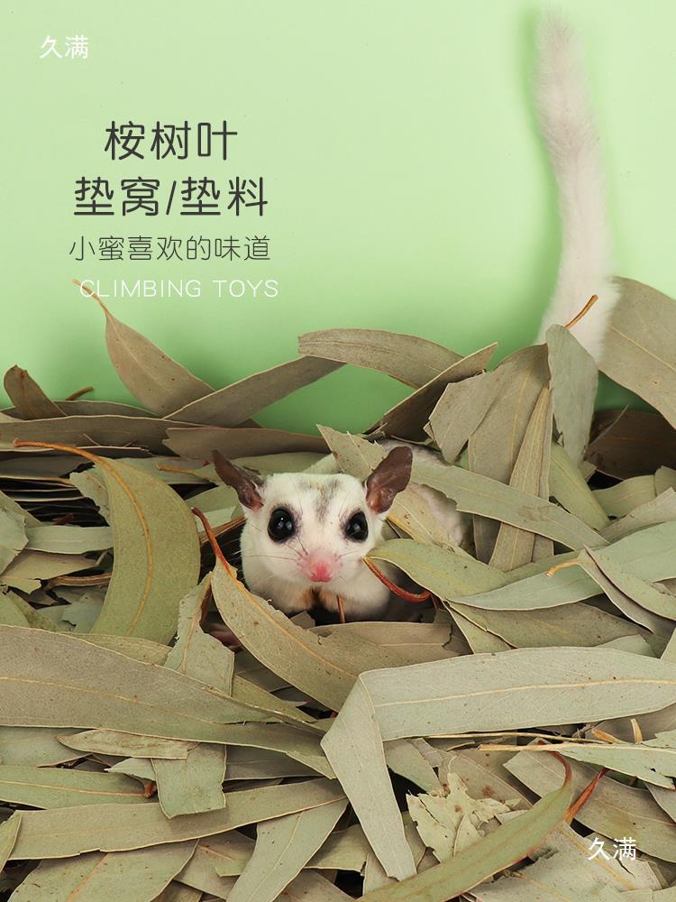 Eucalyptus Leaves, Sugar Gliders, Sugar Gliders, Teething Disinfection Pads, Eucalyptus Branches, Small Honey Cage Interior Decoration Toys