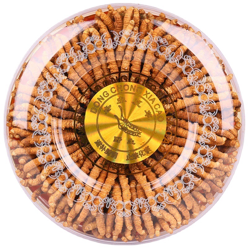 Wholesale of Xizang Cordyceps from Its Natural Habitat in Qinghai Yushu Grassland, High-Altitude Cordyceps for Dropshipping