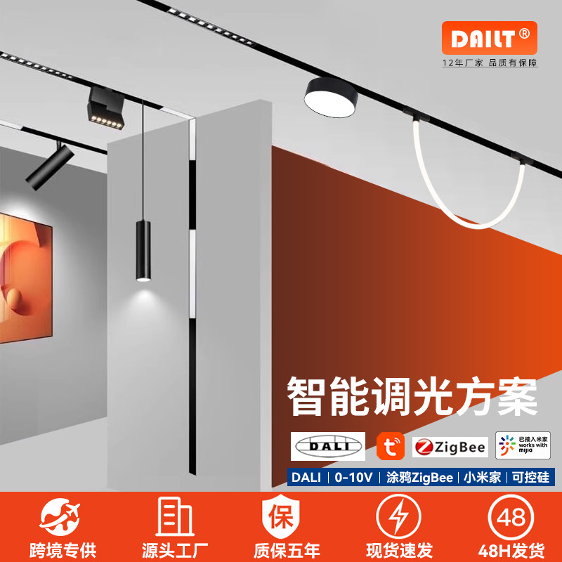 Магнитный трековый светильник, встроенный, не основной свет для гостиной, черный трековый LED магнитный свет