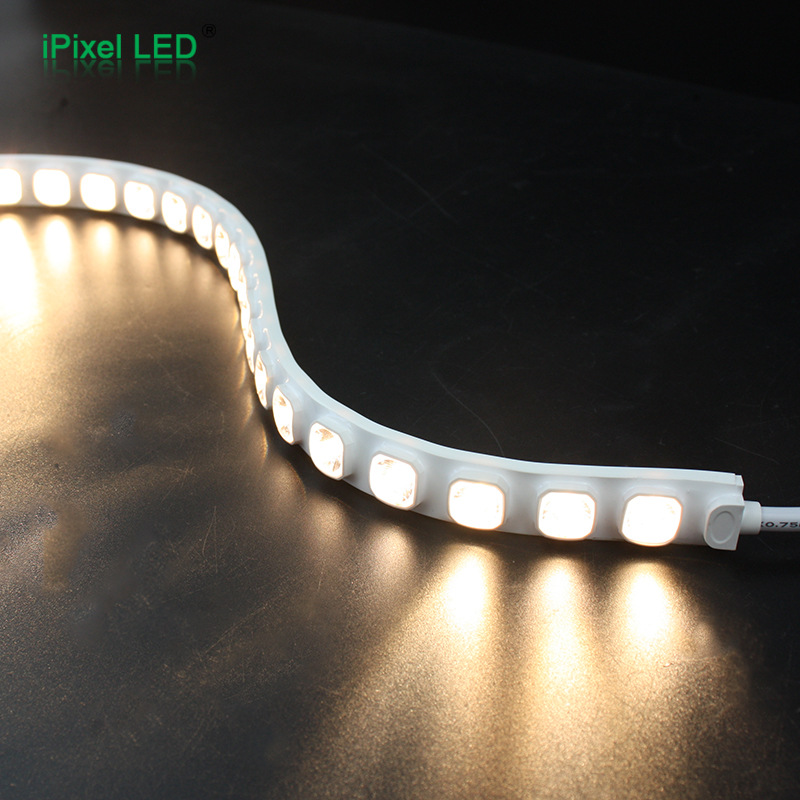 20X10Mm Flexible High-Brightness Led Neon Light with Dc24V Customizable Outdoor Waterproof Flexible Wall Washer with Transparent