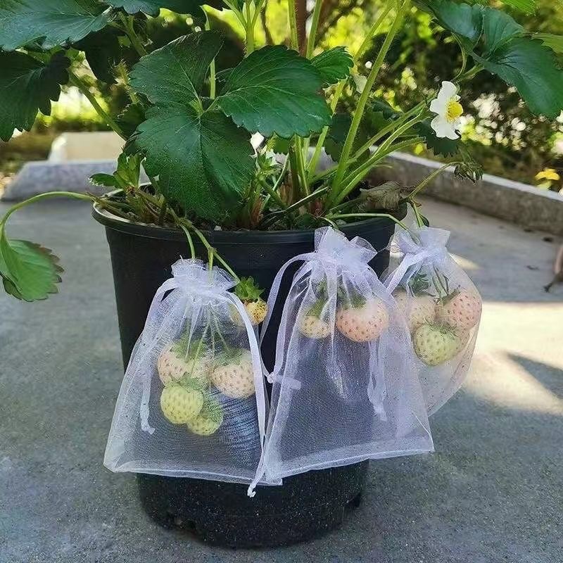 Multi-size fruit and vegetable insect-proof mesh bag strawberry tomato bird-proof protective bag transparent breathable multi-color gauze bag